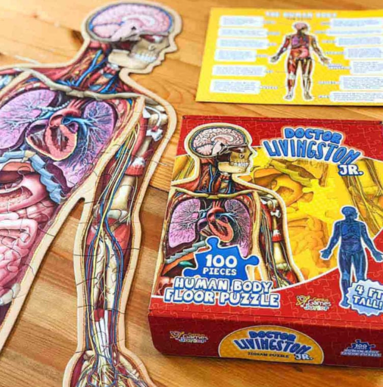 Vloerpuzzel 100 stukjes menselijk lichaam voor kinderen